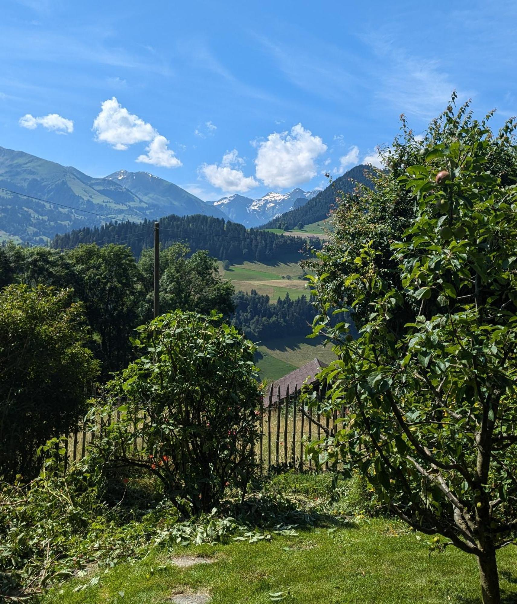 Swiss Mountain-Valley View Lodge Erlenbach im Simmental Exterior foto