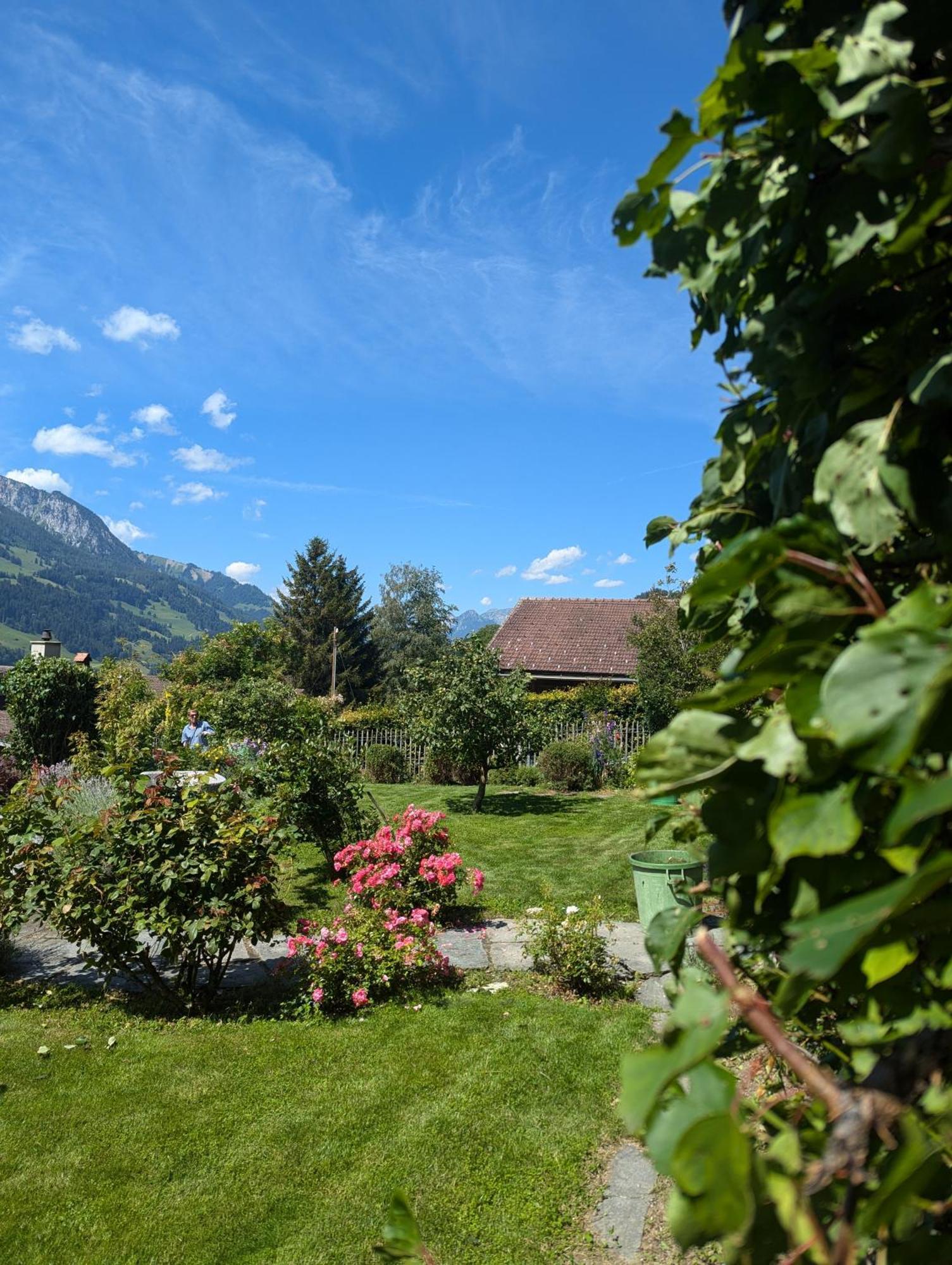 Swiss Mountain-Valley View Lodge Erlenbach im Simmental Exterior foto