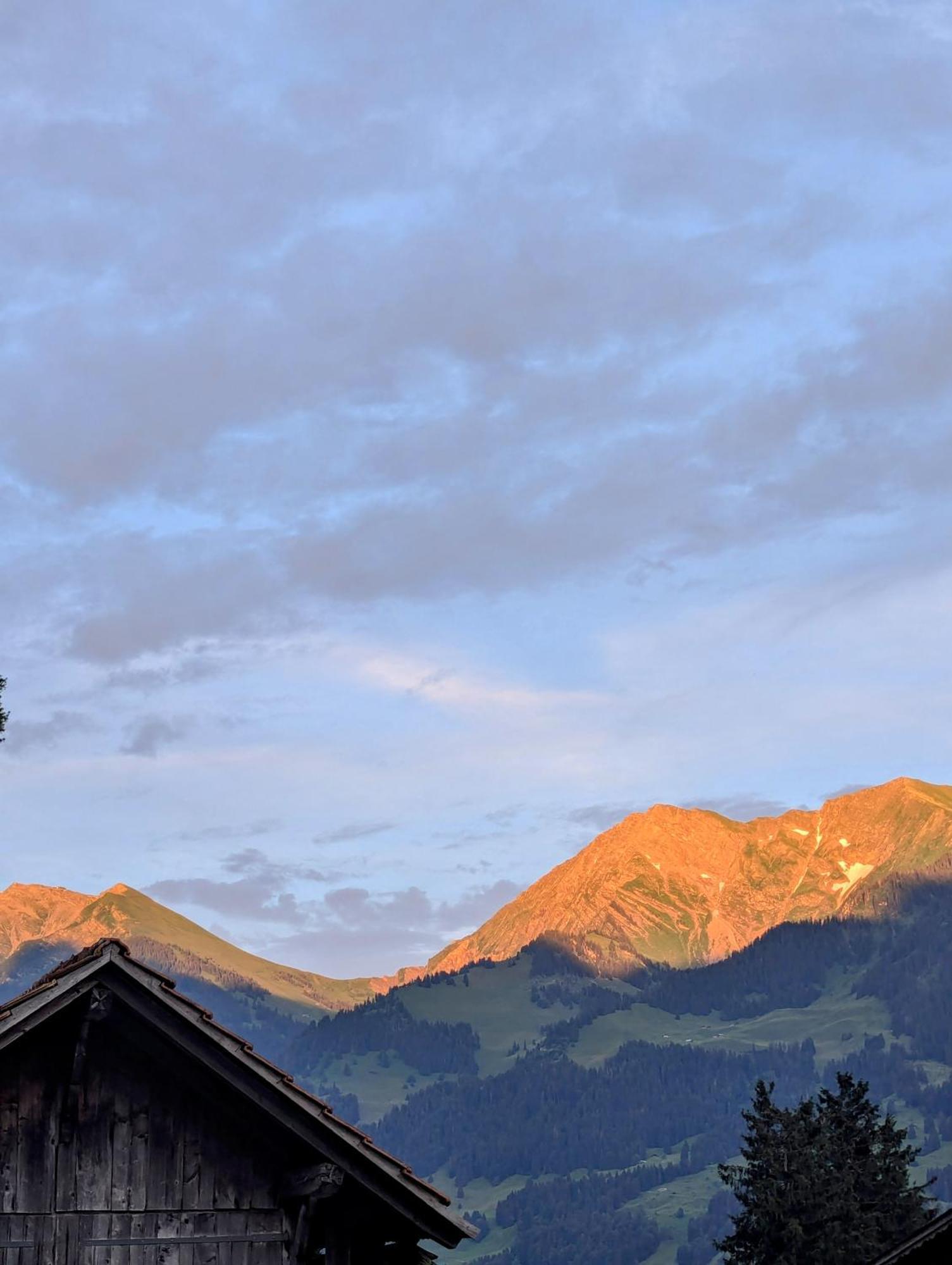 Swiss Mountain-Valley View Lodge Erlenbach im Simmental Exterior foto