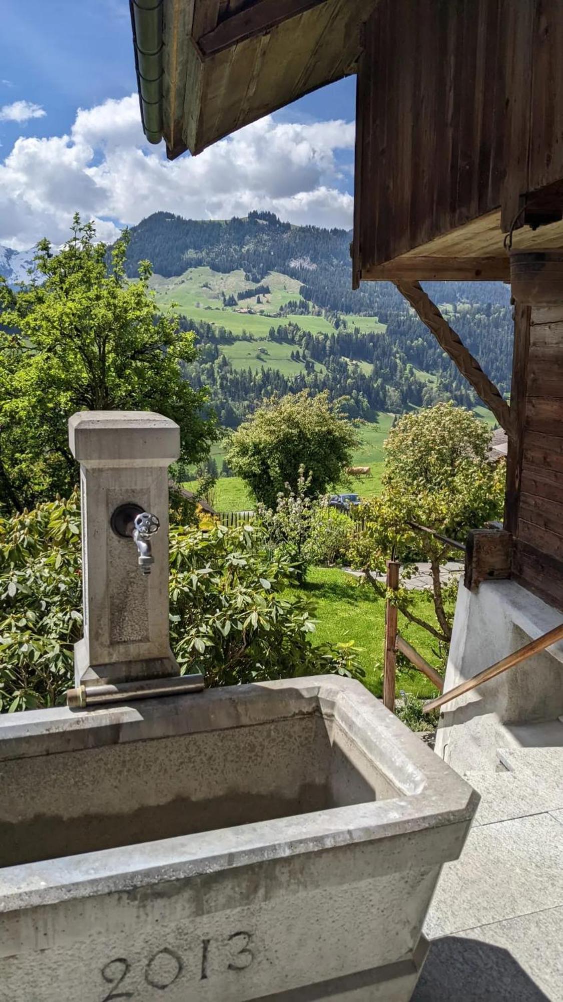 Swiss Mountain-Valley View Lodge Erlenbach im Simmental Exterior foto