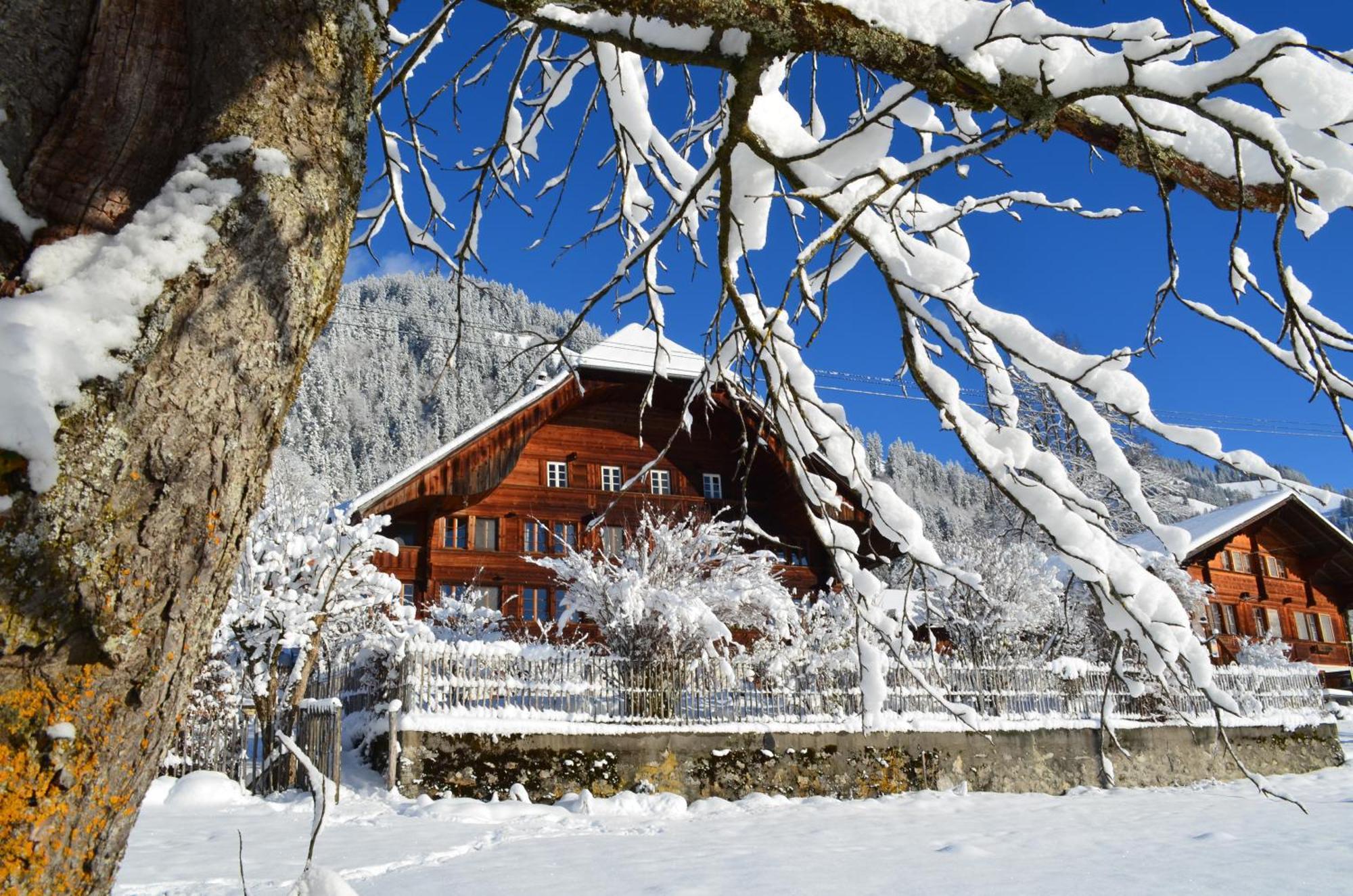 Swiss Mountain-Valley View Lodge Erlenbach im Simmental Exterior foto
